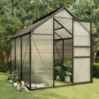 Greenhouse Anthracite Aluminum 38.9 ftÂ²