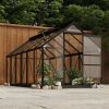 Glass Greenhouse Anthracite 61"x117.3"x75.2" Aluminum