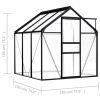 Greenhouse Anthracite Aluminum 38.9 ftÂ²