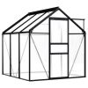 Greenhouse Anthracite Aluminum 38.9 ftÂ²