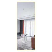 Modern Full Length Mirror, 65" x 22"x 1.2" (Color: Brushed Gold)